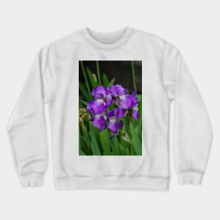 Flower with morning dew Crewneck Sweatshirt